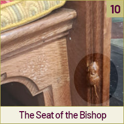  The Seat of the Bishop (Cathedra)