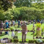 The Plant Hunters' Fair at Southwell Minster