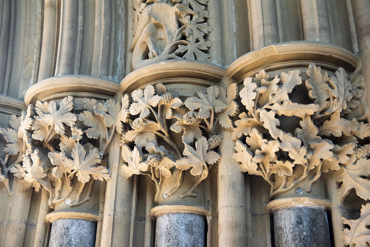 About the Leaves of Southwell