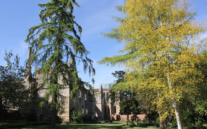Southwell Minster Gardens and Grounds. Would you like to volunteer?