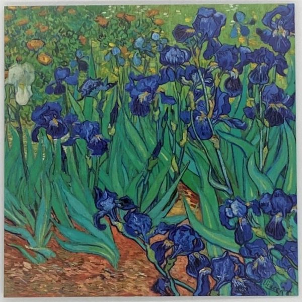 Vincent Van Gogh b
