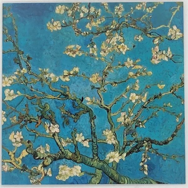 Vincent Van Gogh c