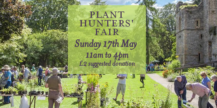 Plant Hunters Fair 17 May 2026